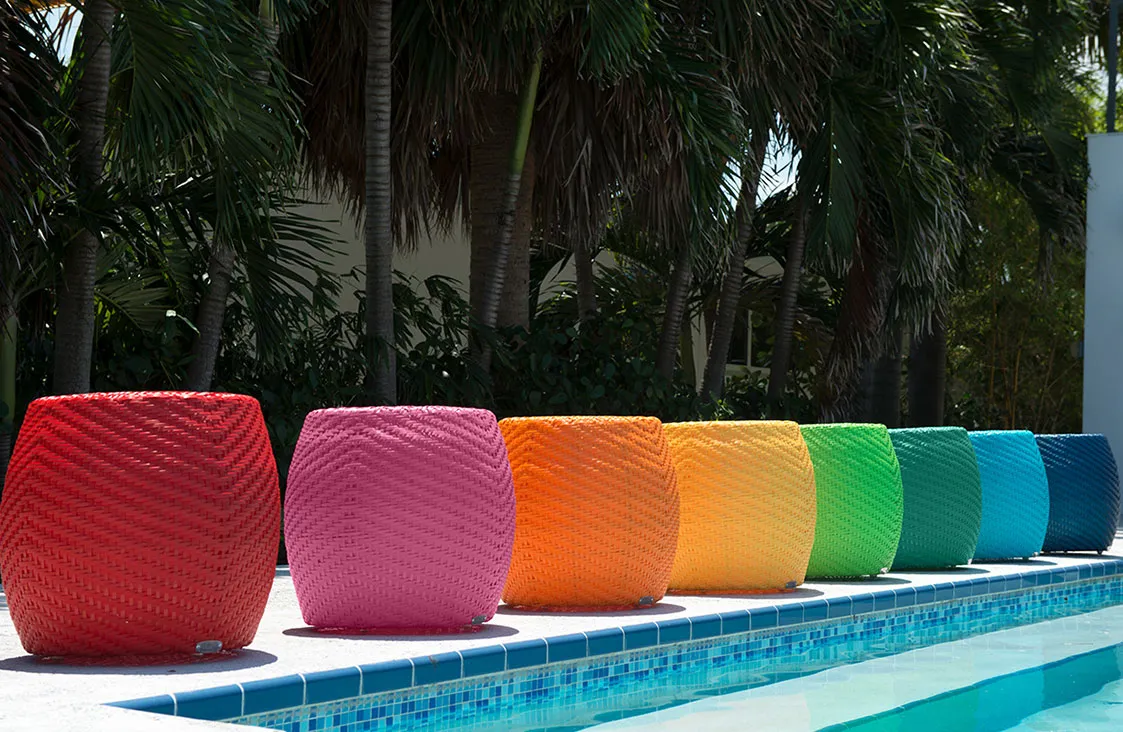 Palms Collection